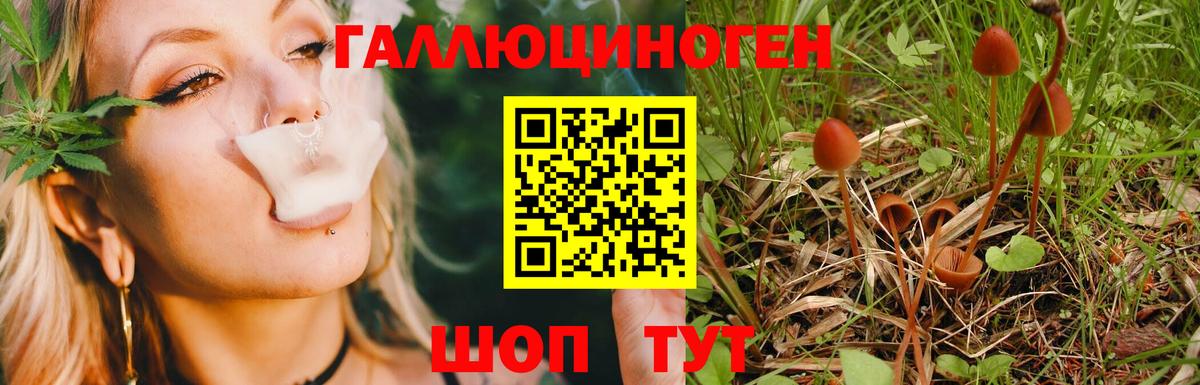 цена наркотик  Вход с VPN  Камышлов  Галлюциногенные грибы прущие грибы 